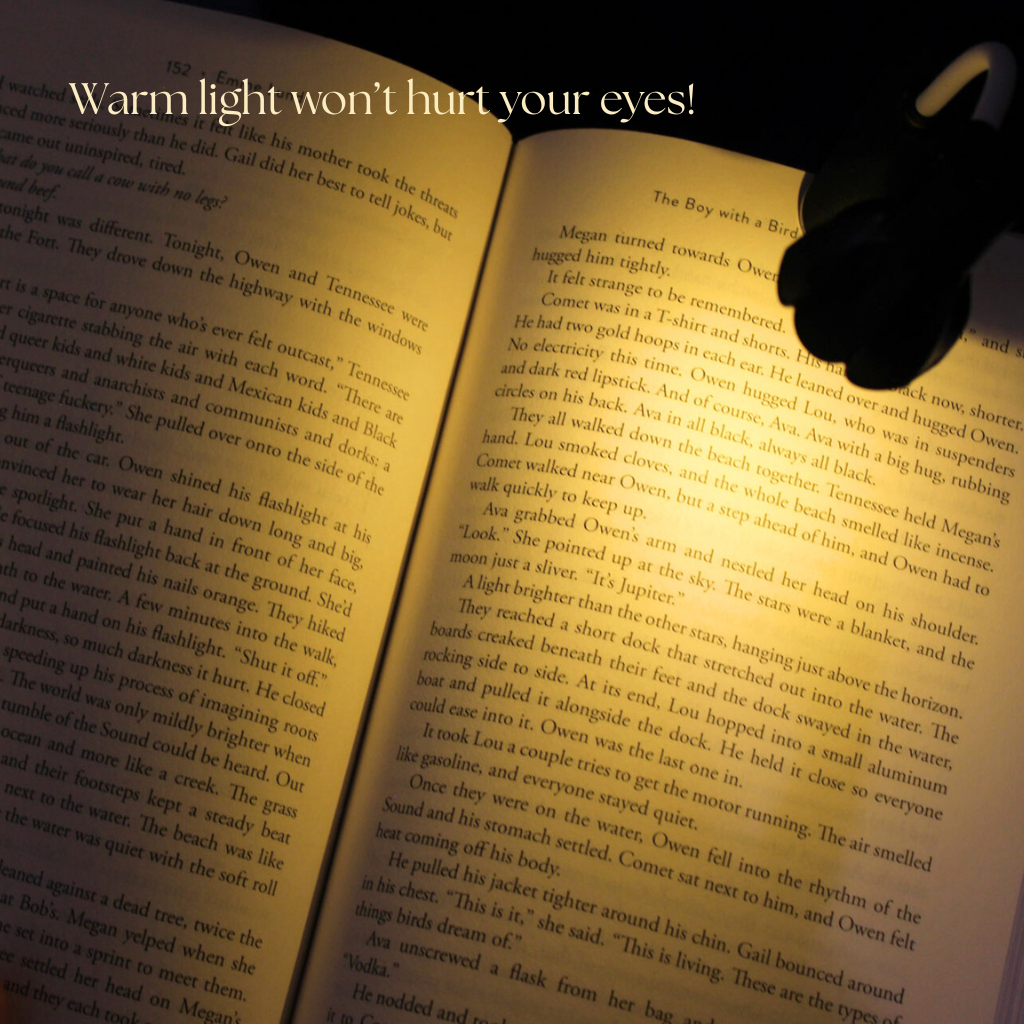 Book Light